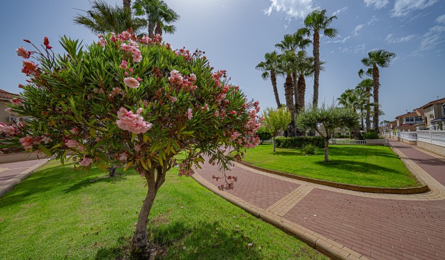 Sprzedaż - Apartament - Playa Flamenca - Zenia Mar