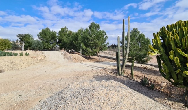 Segunda mano - Villa - Orihuela - La Mata