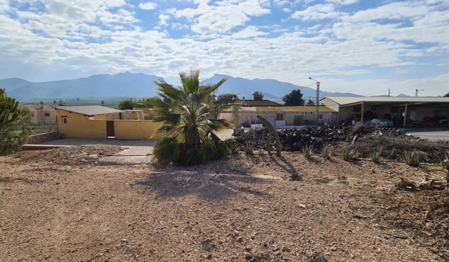 Segunda mano - Villa - Orihuela - La Mata