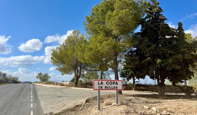 Sprzedaż - Działka - Bullas - Costa Calida