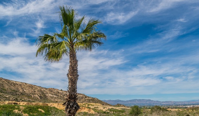 Resale - Apartment - Algorfa - LA FINCA GOLF / ALGORFA