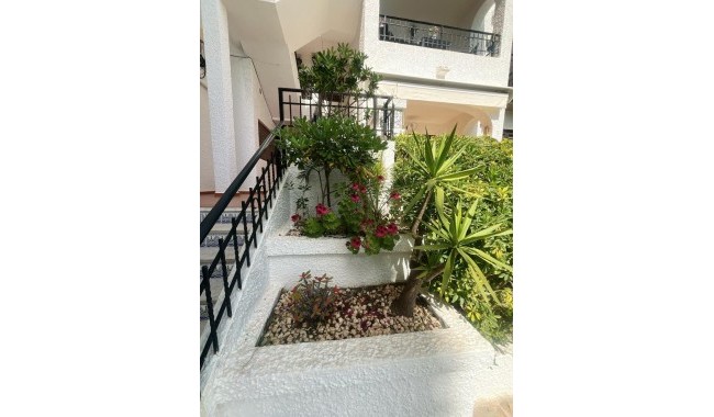 Brukt - Leilighet - Orihuela Costa - Cabo Roig