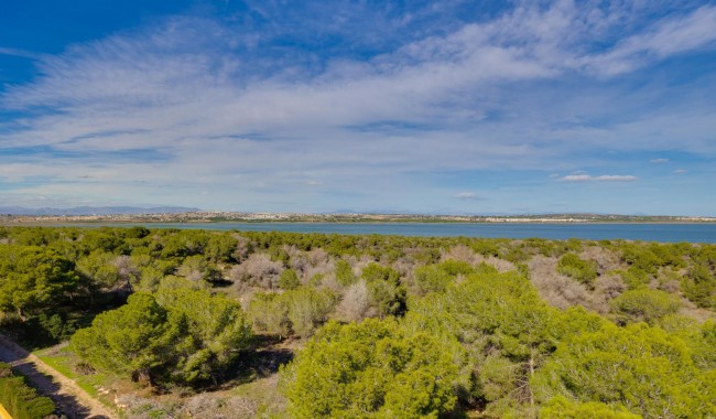 Brukt - Leilighet - Torrevieja - San Luis