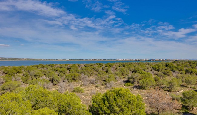 Brukt - Leilighet - Torrevieja - San Luis