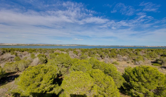 Brukt - Leilighet - Torrevieja - San Luis