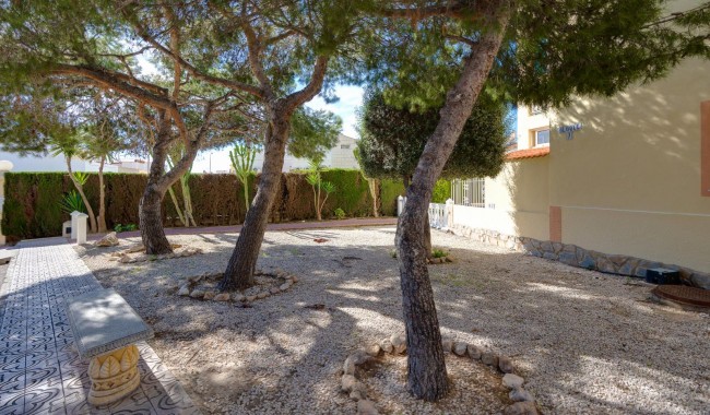 Brukt - Leilighet - Torrevieja - San Luis