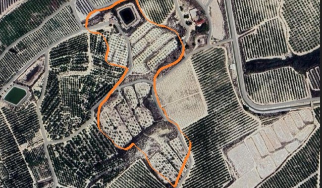 Segunda mano - Villa - Orihuela - Hurchillo