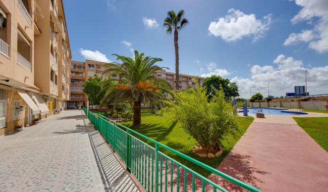 Sprzedaż - Apartament - Torrevieja - Parque las naciones