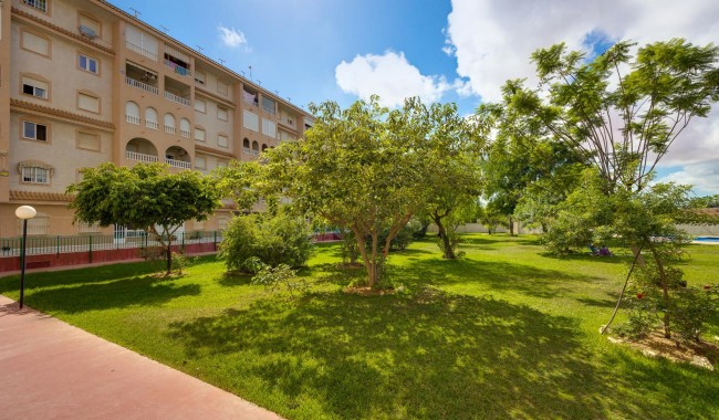 Sprzedaż - Apartament - Torrevieja - Parque las naciones