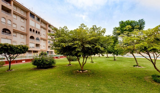 Sprzedaż - Apartament - Torrevieja - Parque las naciones