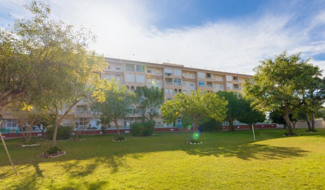 Sprzedaż - Apartament - Torrevieja - Parque las naciones