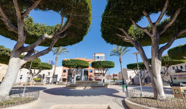 Begagnad - Villa - San Fulgencio