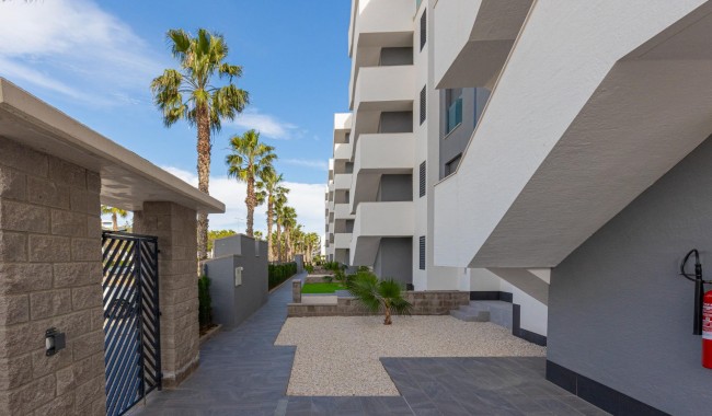 Resale - Apartment - Guardamar - El Raso