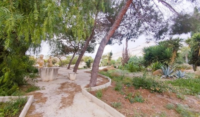 Sprzedaż - Willa - San Miguel de Salinas - Las filipinas
