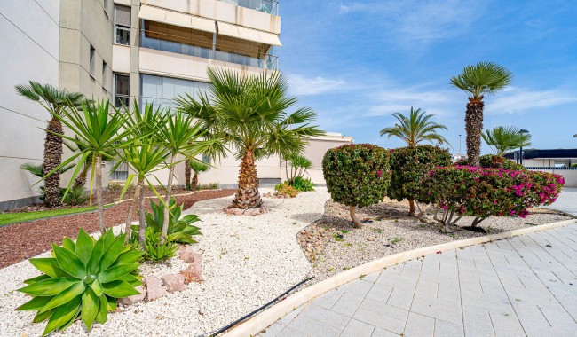 Resale - Apartment - Orihuela Costa - Los Dolses