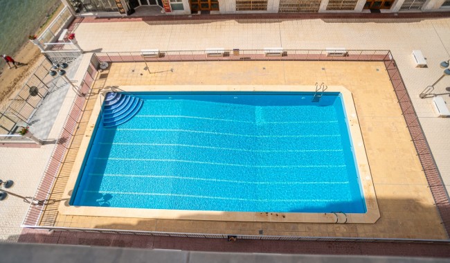 Segunda mano - Apartamento - Torrevieja - Acequion