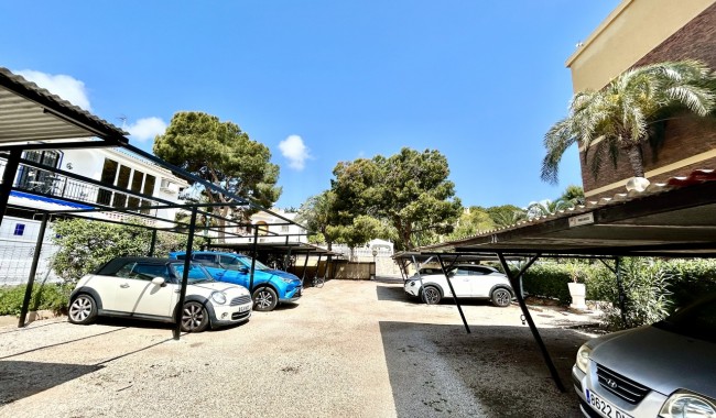 Begagnad - Lägenhet - Orihuela Costa - La Zenia