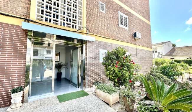 Begagnad - Lägenhet - Orihuela Costa - La Zenia