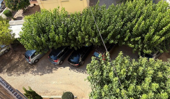 Segunda mano - Apartamento - Torrevieja - La Mata