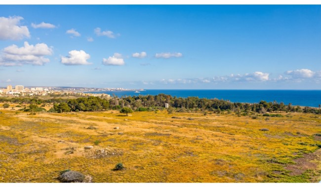 Segunda mano - Apartamento - Orihuela Costa - Punta Prima