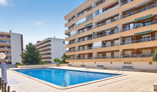 Segunda mano - Apartamento - Orihuela Costa - Punta Prima