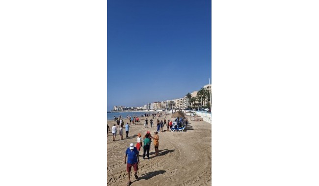 Sprzedaż - Apartament - Torrevieja - Playa de los locos