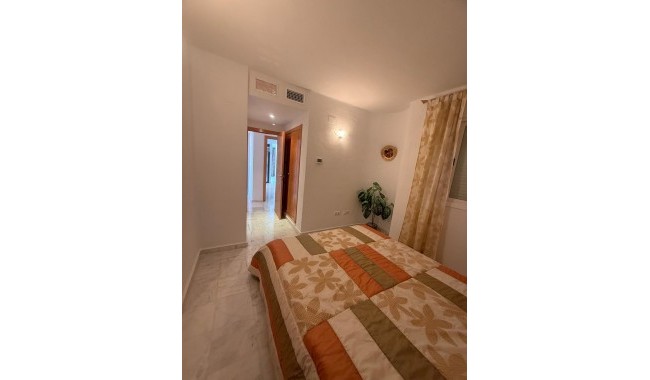 Begagnad - Lägenhet - Torrevieja
