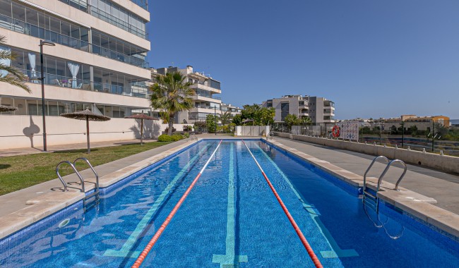 Sprzedaż - Apartament - Los Dolses - Pimienta