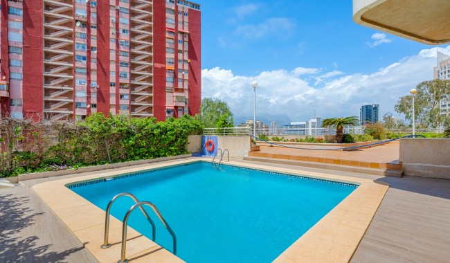 Segunda mano - Apartamento - Benidorm