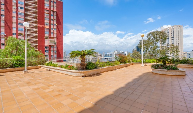 Segunda mano - Apartamento - Benidorm