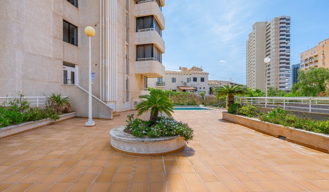 Segunda mano - Apartamento - Benidorm