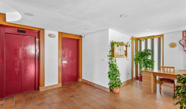 Segunda mano - Apartamento - Benidorm