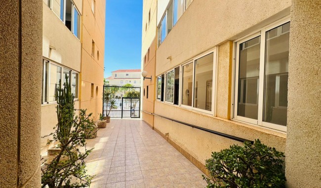 Segunda mano - Apartamento - Torrevieja - Urbanización San Luis