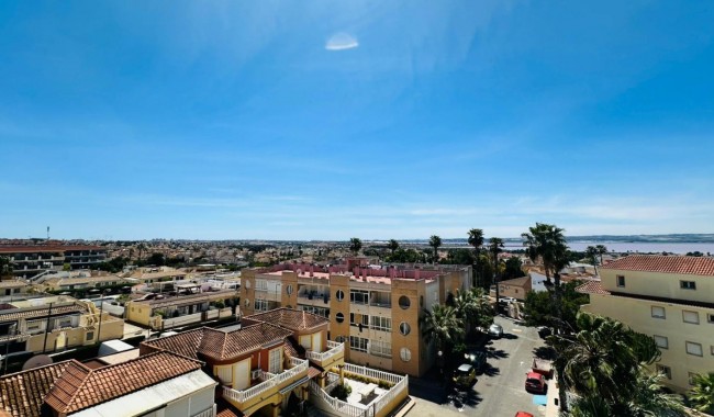 Segunda mano - Apartamento - Torrevieja - Urbanización San Luis