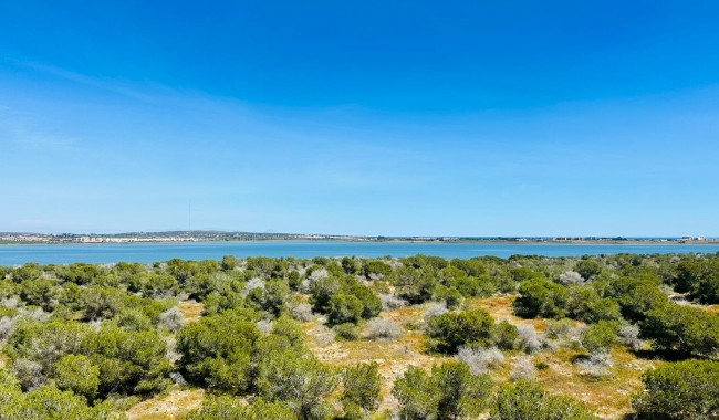 Segunda mano - Apartamento - Torrevieja - Urbanización San Luis