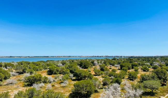 Segunda mano - Apartamento - Torrevieja - Urbanización San Luis