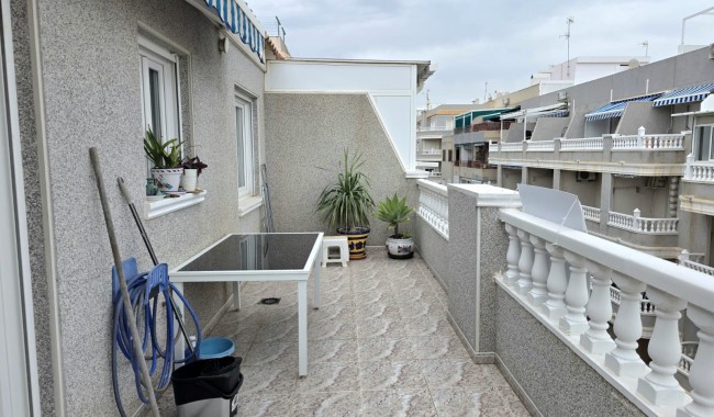 Segunda mano - Apartamento - Torrevieja - Curva del Palangre