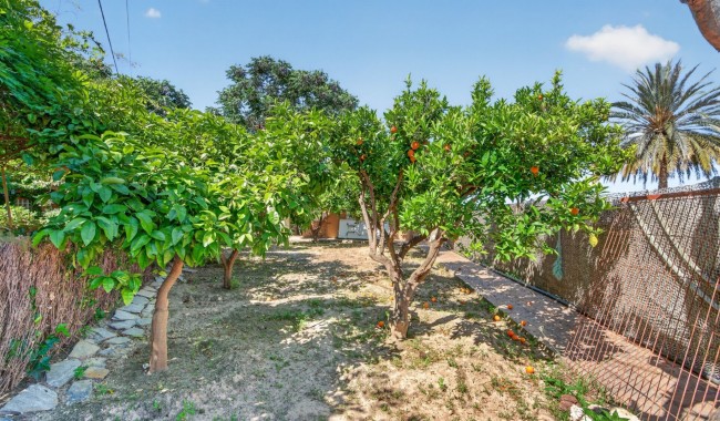 Resale - Villa - Orihuela - Orihuela Center