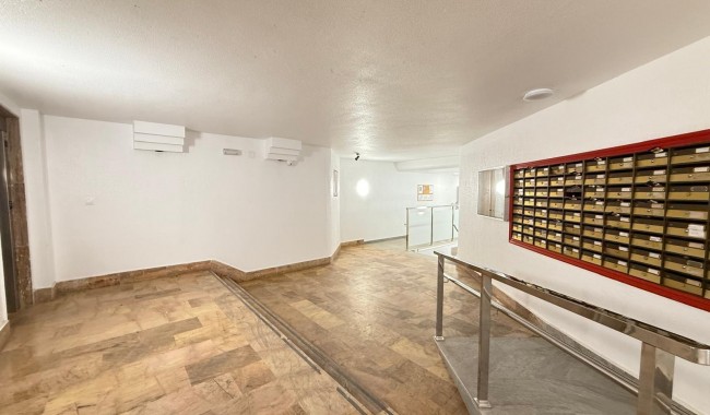 Segunda mano - Apartamento - Torrevieja - Playa del cura