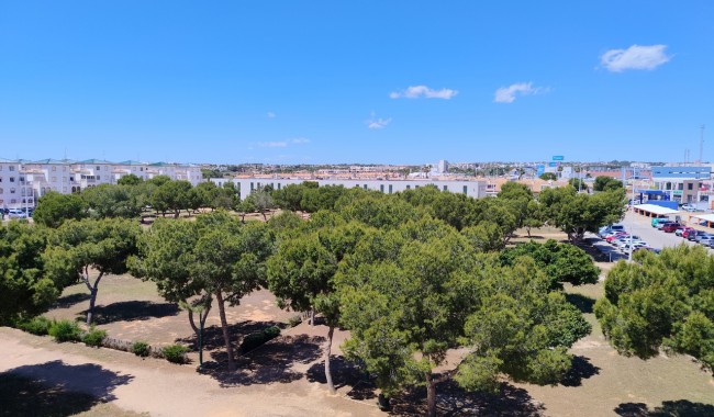 Sprzedaż - Apartament - Orihuela costa - La Zenia