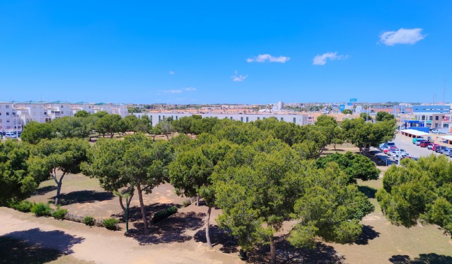 Sprzedaż - Apartament - Orihuela costa - La Zenia