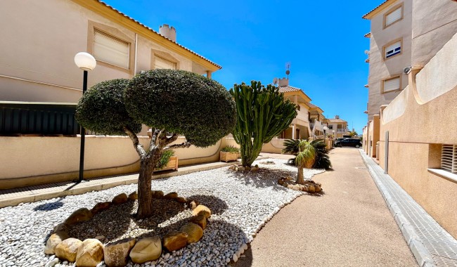 Sprzedaż - Apartament - Orihuela costa - La Zenia