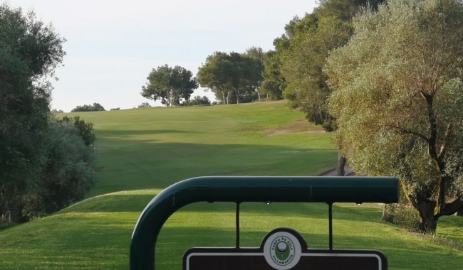 Resale - Villa - Villamartín - El Presidente