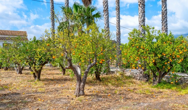 Brukt - Finca - La Nucia