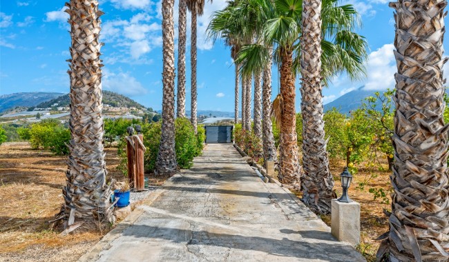 Brukt - Finca - La Nucia