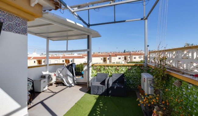 Sprzedaż - Kamienica - Torrevieja
