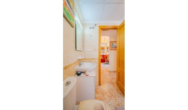 Begagnad - Quatro hus - Torrevieja - Punta Prima