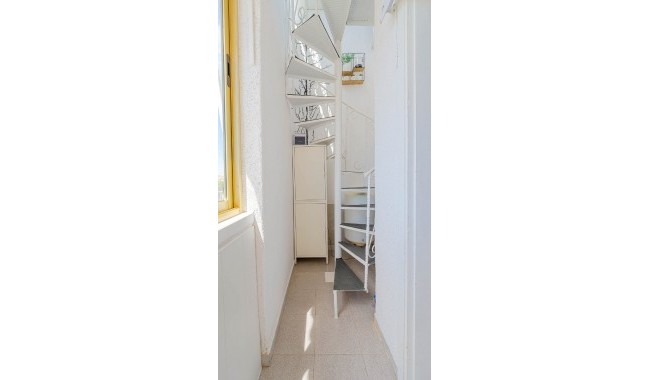 Segunda mano - Apartamento - Punta Prima
