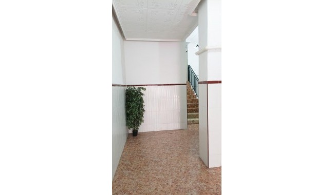 Segunda mano - Apartamento - Torrevieja - Centro