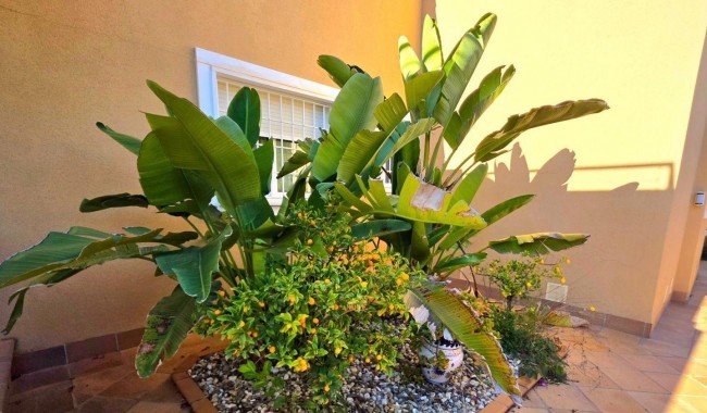 Begagnad - Villa - Orihuela Costa - Dehesa de Campoamor